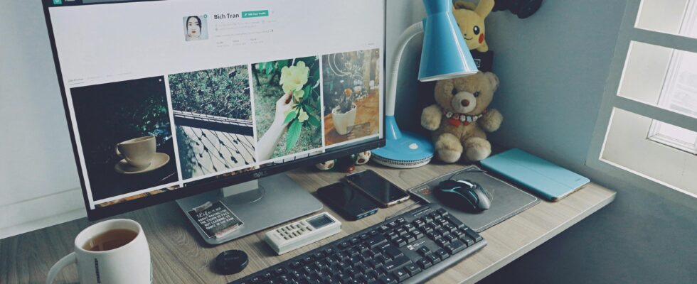 tipos de site